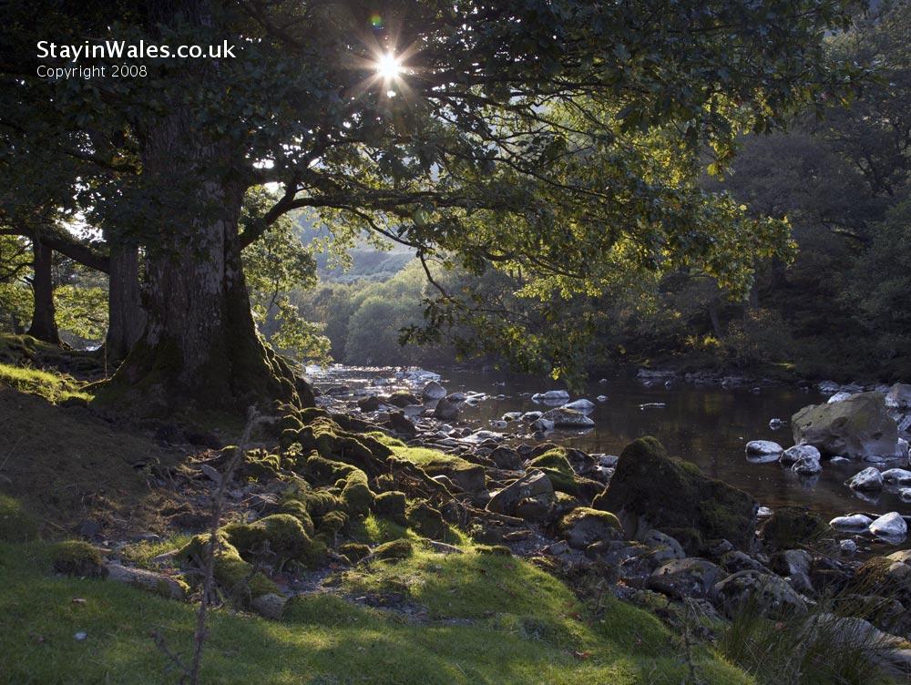River Elan at the Elan Village