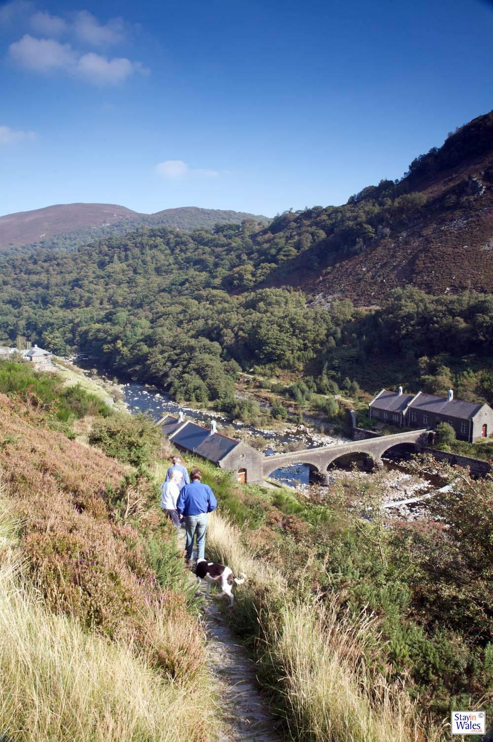 Footpath by Caban Coch