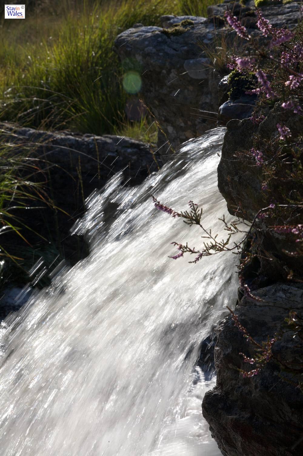 Mountain stream on the Esgair Gelli, running towards the Afon Ca