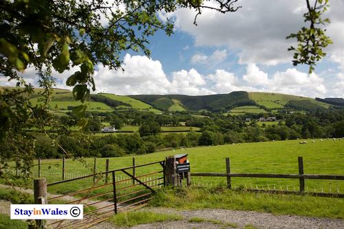 Mynydd Eppynt, Mid Wales