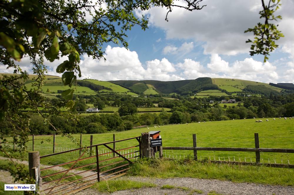 Mynydd Eppynt, Mid Wales