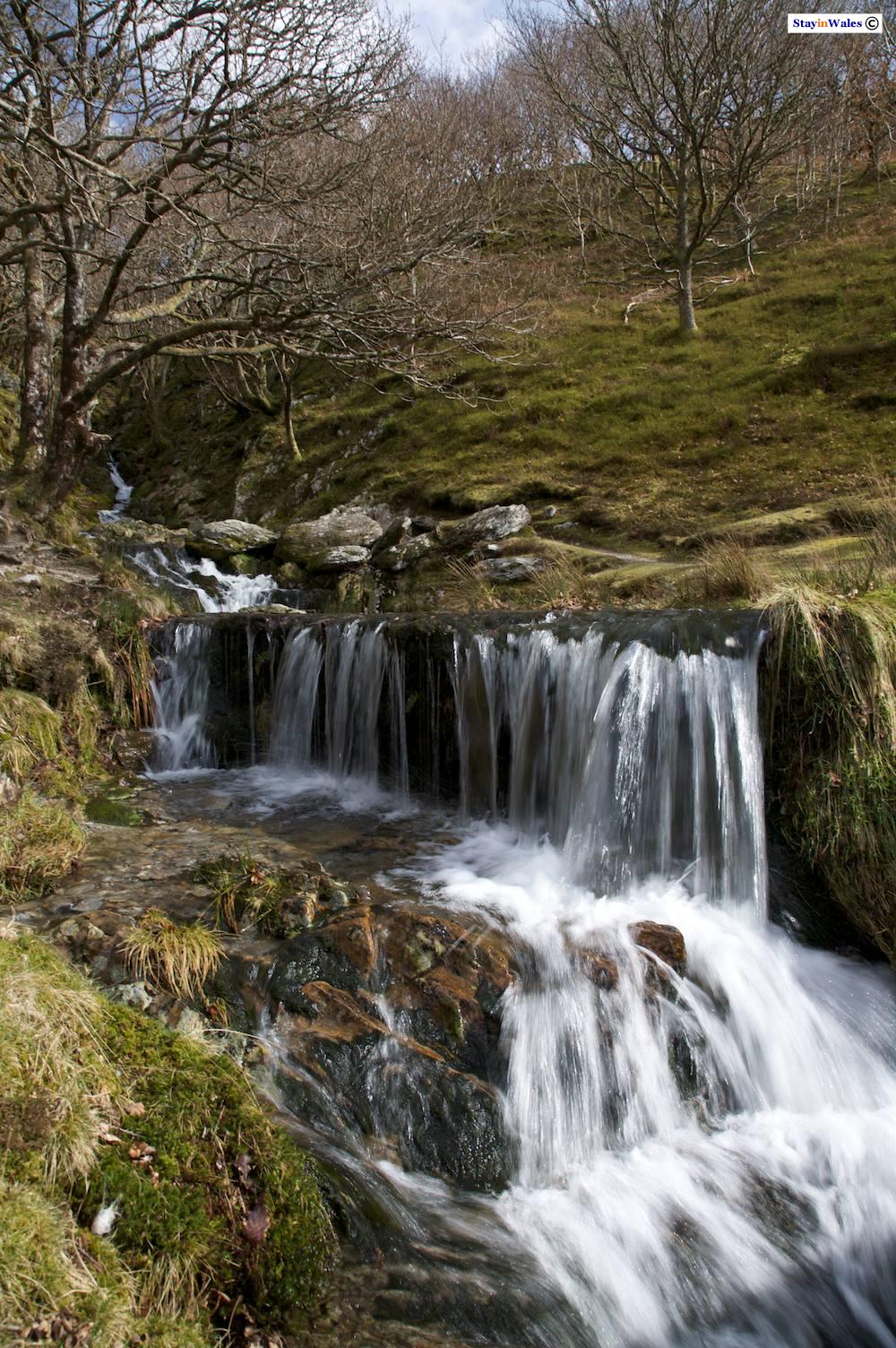 Mountain stream in the Elan Valley