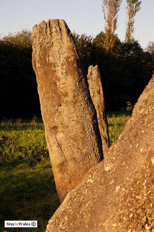 Harold's Stones at Trellech, Monmouthshire