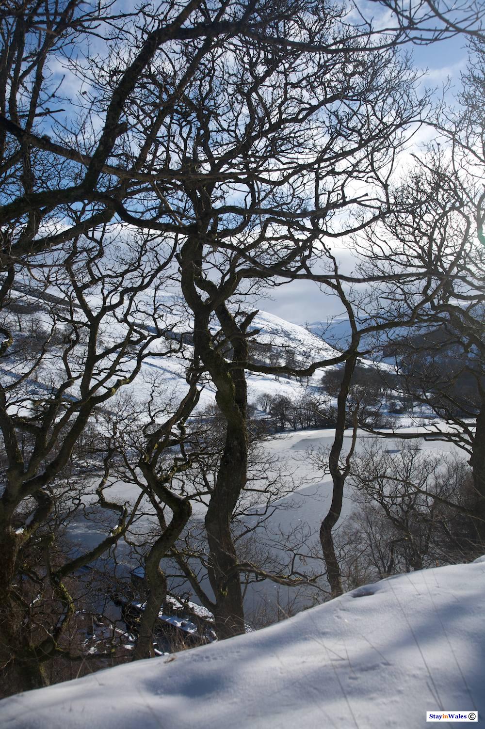 Snow at Caban Coch Reservoir