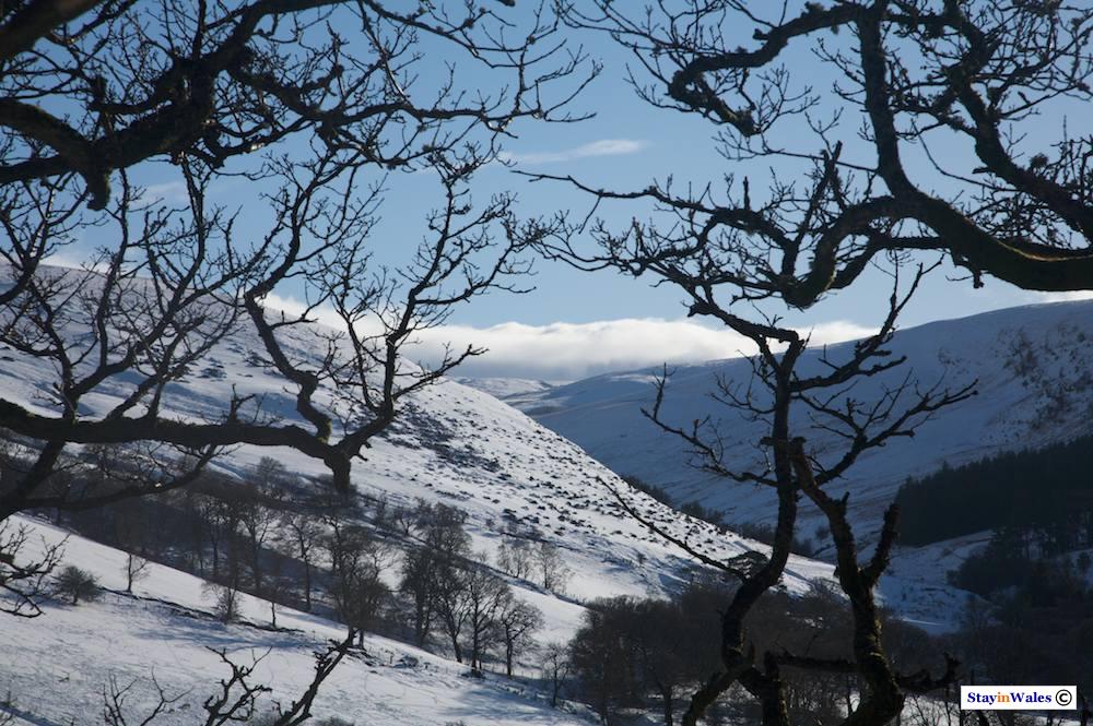Snow in the Cambrian Hills