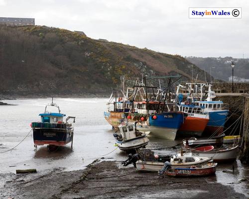Fishing boats at Lower Town, Fishguard
