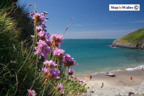 Porth Lleuog