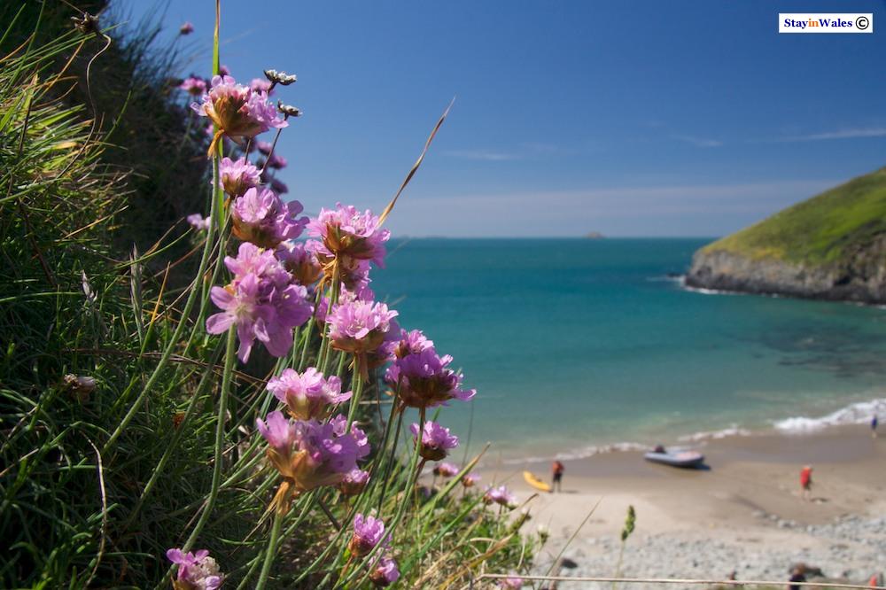 Porth Lleuog