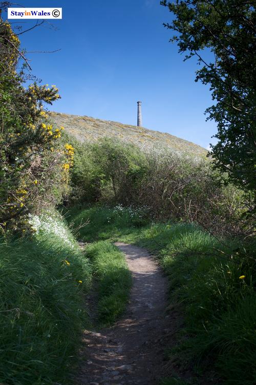 Pen Dinas, Aberystwyth