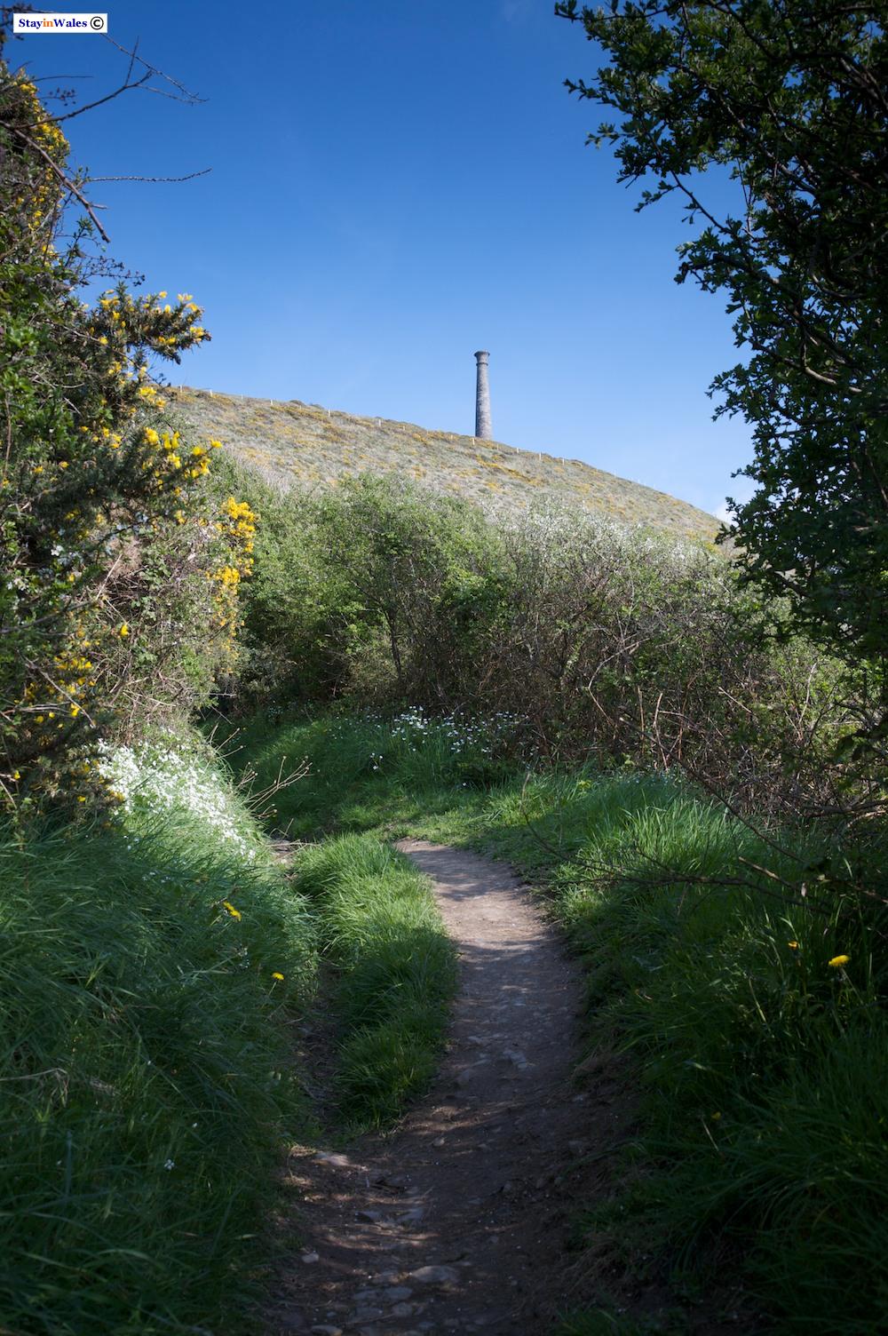 Pen Dinas, Aberystwyth