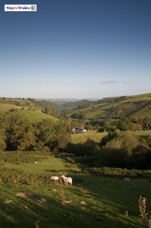 Upper Teme Valley near Felindre