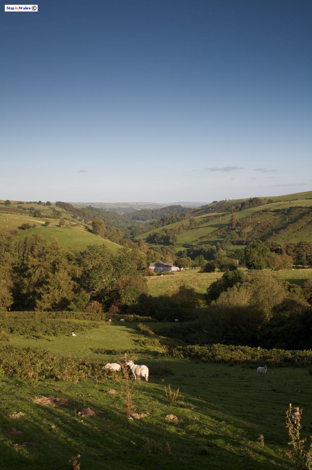 Upper Teme Valley near Felindre