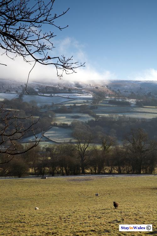 Aberedw Hill winter