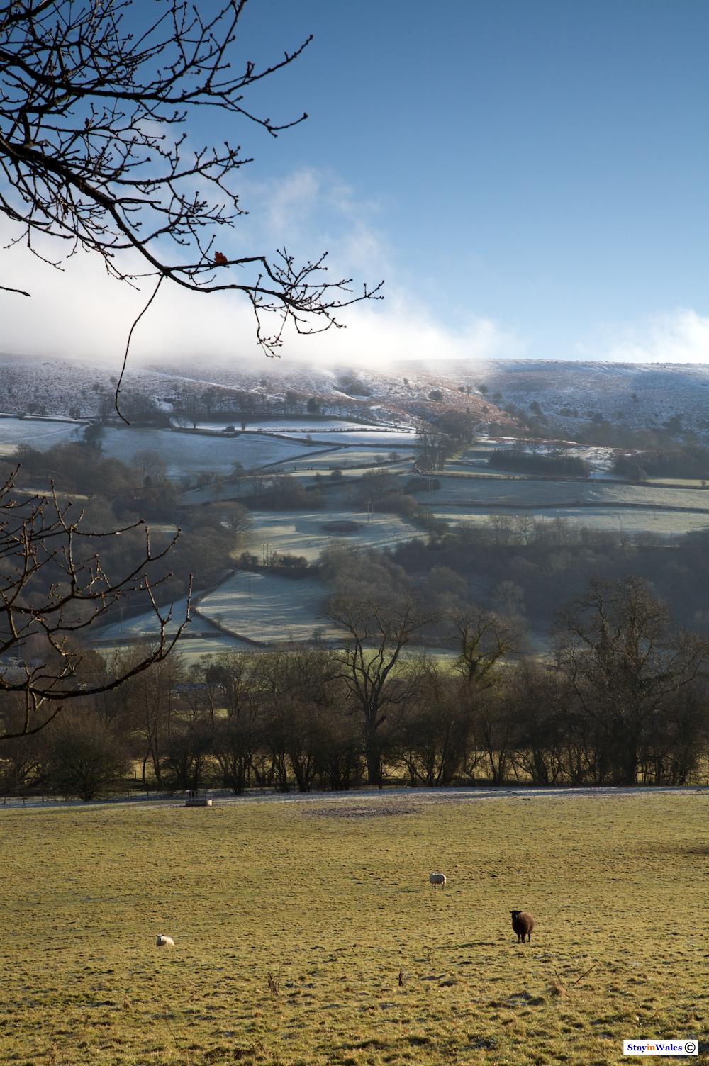 Aberedw Hill winter
