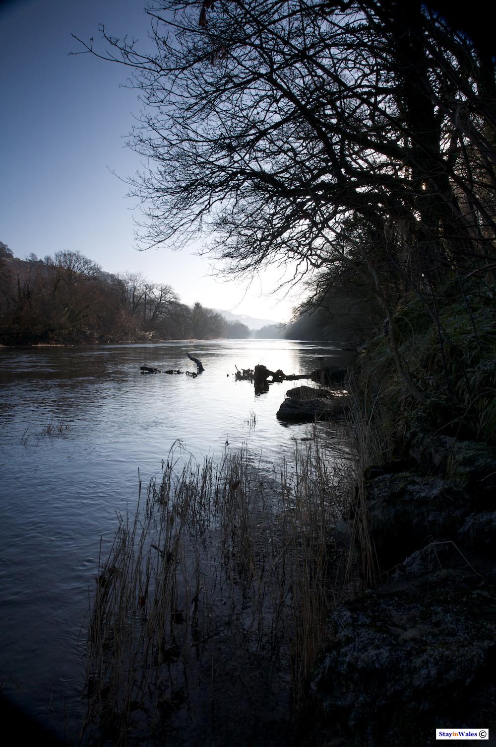 Winter sun on the River Wye