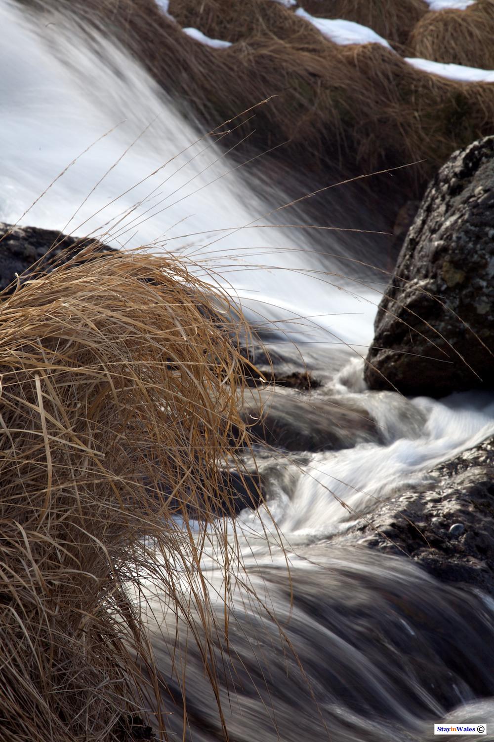 Nant Paradwys mountain stream