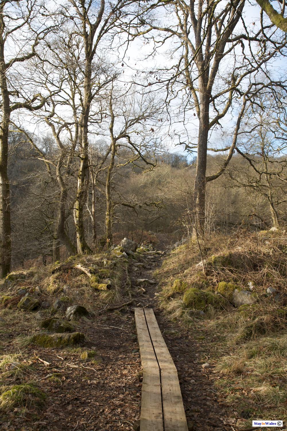 Afon Mellte Waterfall footpath