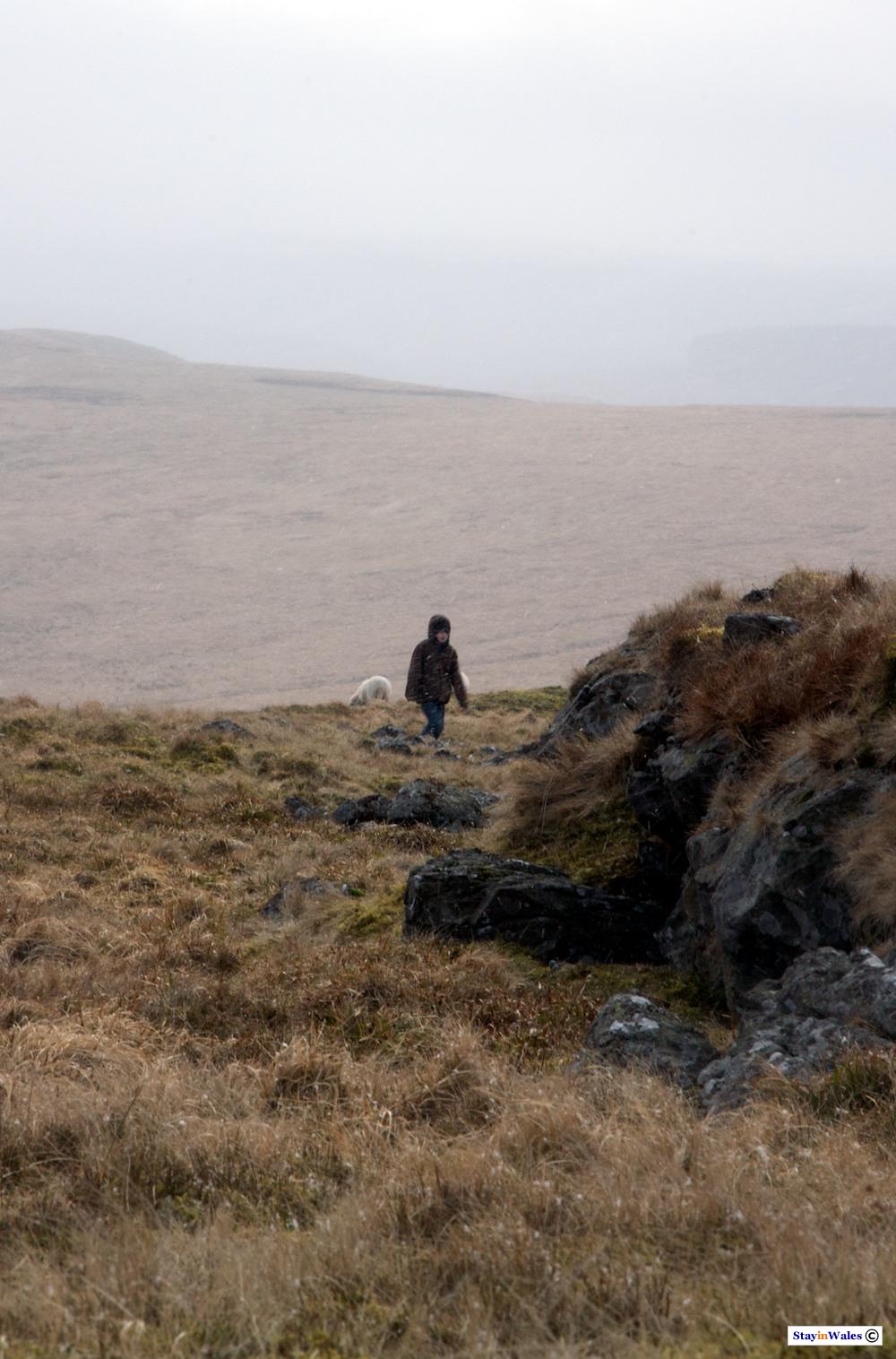 Walking to Draygarn Fawr