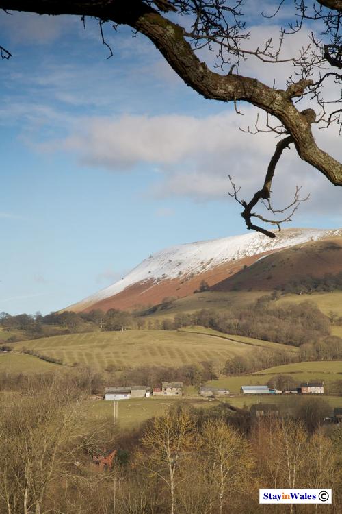 Snow on Aberedw Hill, Builth