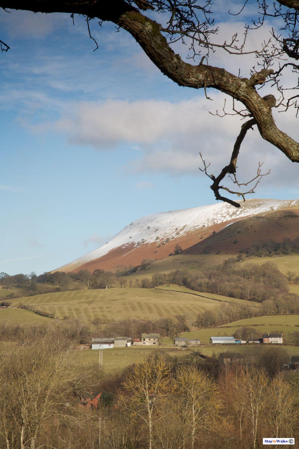 Snow on Aberedw Hill, Builth