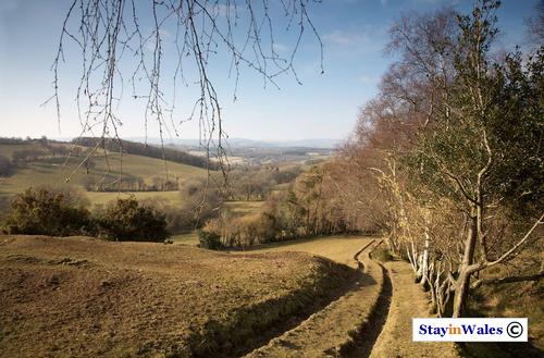 Footpath to the Mynydd Myddfai