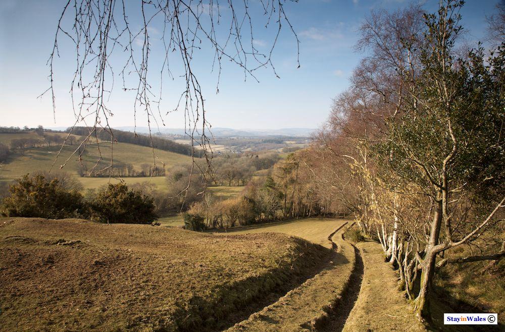 Footpath to the Mynydd Myddfai