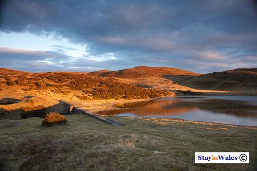 Pant y Llyn Lake, Builth Wells
