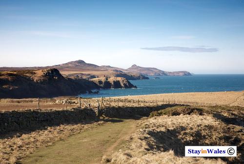 Ynys Barri, Pembrokeshire coast