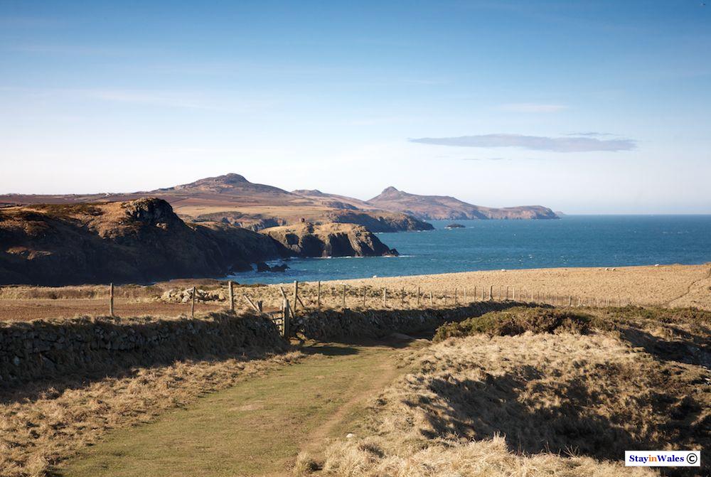 Ynys Barri, Pembrokeshire coast