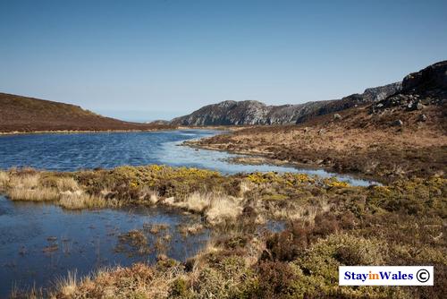 Lake on Holyhead Mountain