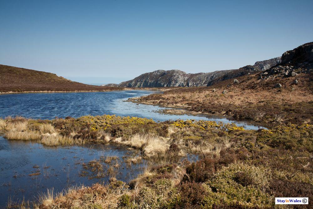 Lake on Holyhead Mountain