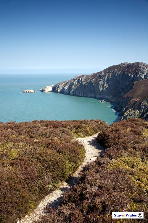 North Stack and Gogarth Bay