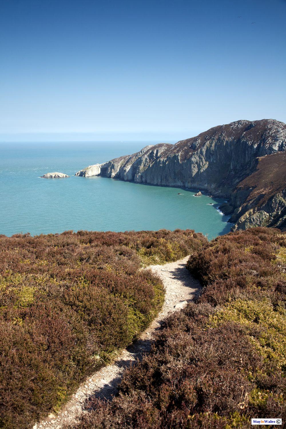 North Stack and Gogarth Bay