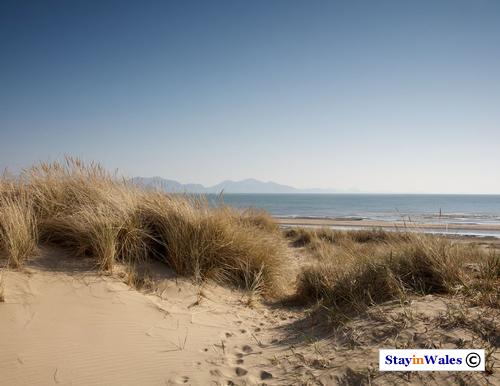 Sand dunes at Newborough, Anglesey