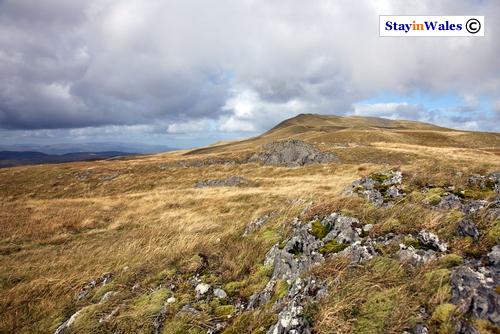 Pumlumon Fawr, Cambrian Mountains
