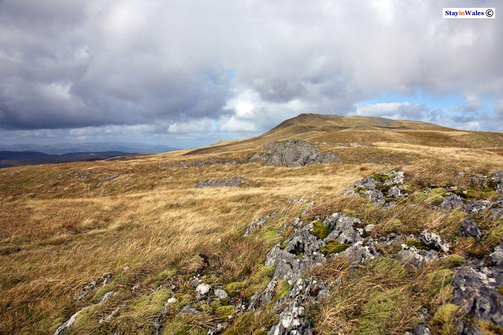 Pumlumon Fawr, Cambrian Mountains