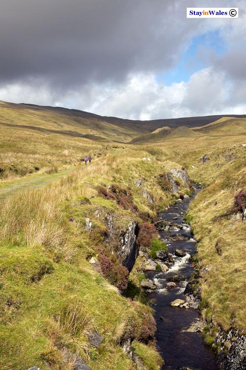 Footpath to Pumlumon Fawr