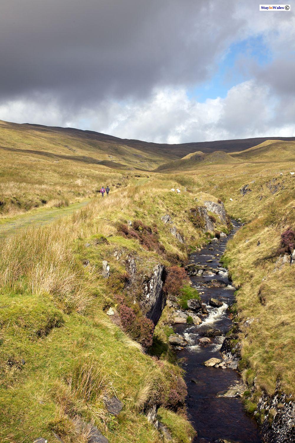 Footpath to Pumlumon Fawr