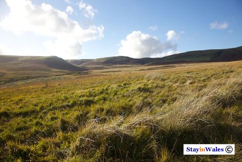 Rhos Saith-maen, Cambrian Mountains