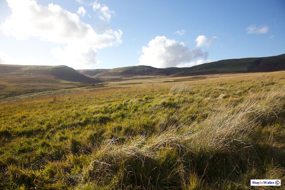Rhos Saith-maen, Cambrian Mountains