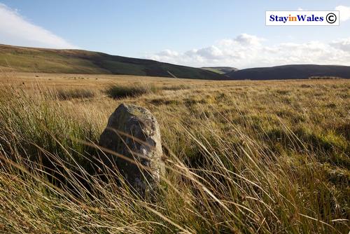 Drum Ddu standing stone
