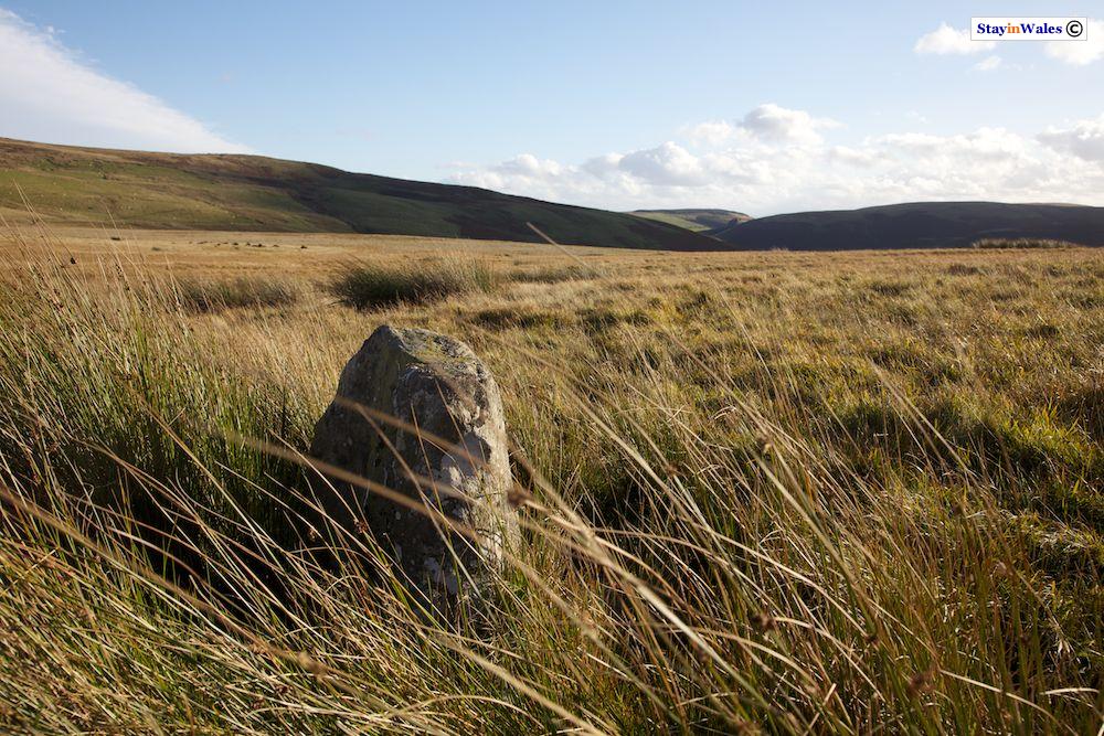 Drum Ddu standing stone