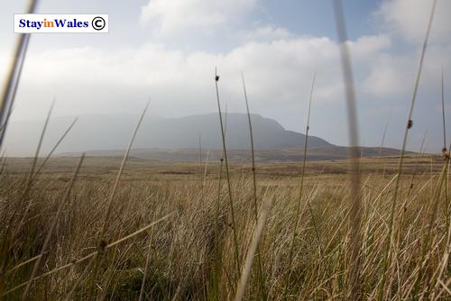 Arenig Fawr
