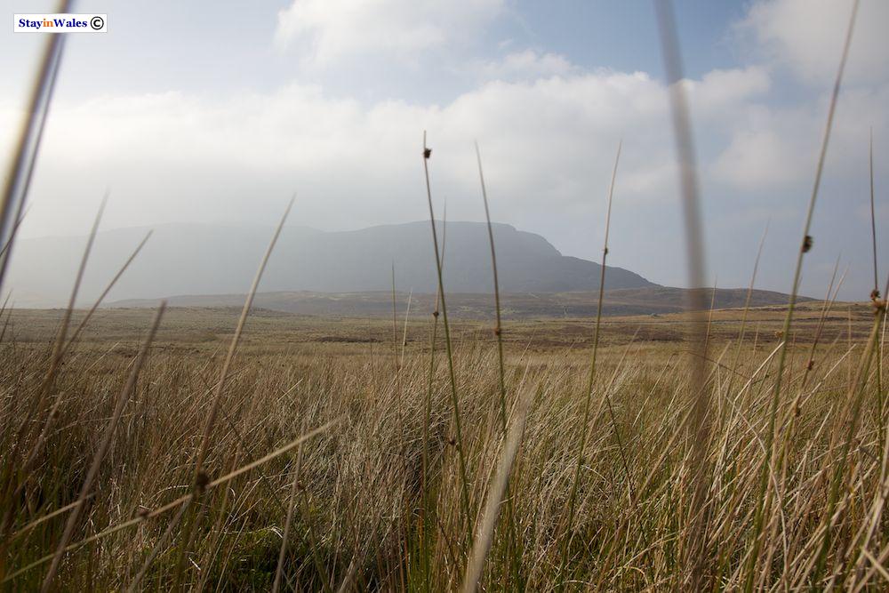 Arenig Fawr