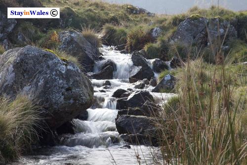 Nant Aberderfel, Llyn Arenig Fach