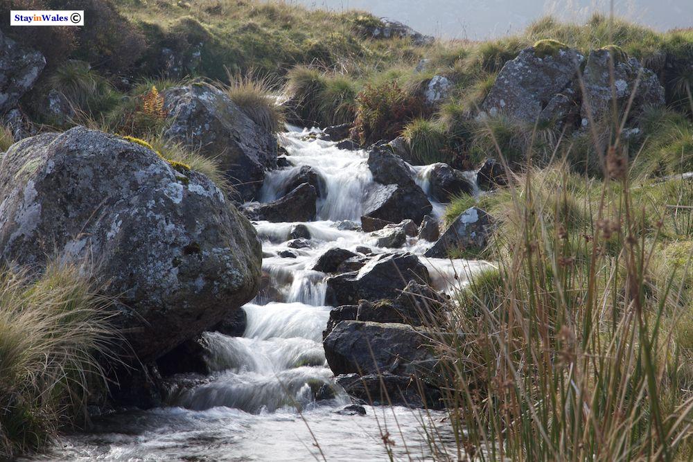 Nant Aberderfel, Llyn Arenig Fach