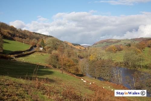 Wye Valley near Erwood