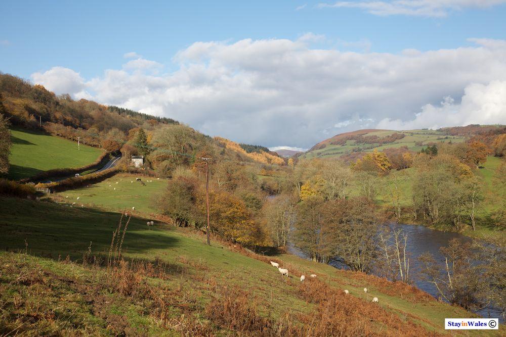 Wye Valley near Erwood