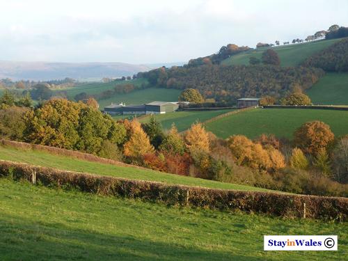 Autumn view near Maesmynis