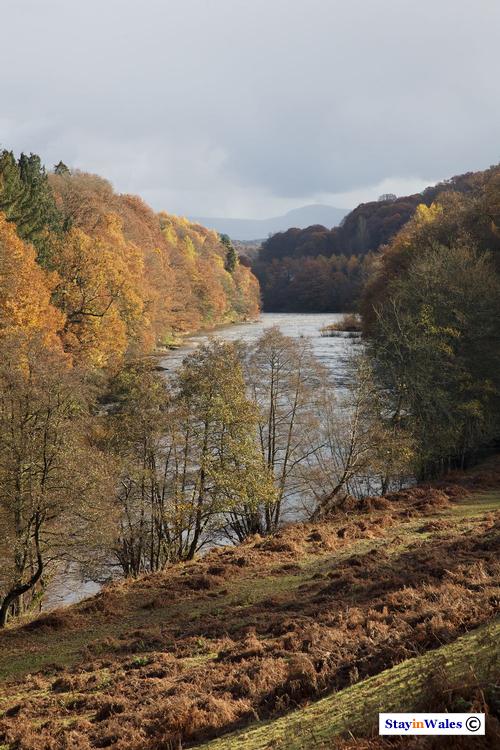 River Wye Autumn view